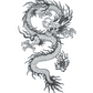 Traditional Japanese Dragon