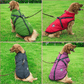 🐶3 in 1  Waterproof Warm Dog Jacket With Built-in Harness