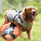 🐶3 in 1  Waterproof Warm Dog Jacket With Built-in Harness