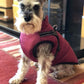 🐶3 in 1  Waterproof Warm Dog Jacket With Built-in Harness