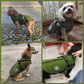 🐶3 in 1  Waterproof Warm Dog Jacket With Built-in Harness
