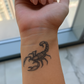 Scorpion