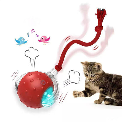 Interactive Cat Toys Ball with Simulate Bird Sounds